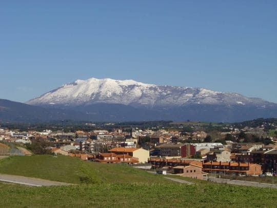 Cursa solidària Cardedeu 2023